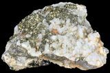 Pyrite On Calcite - El Hammam Mine, Morocco #80712-2
